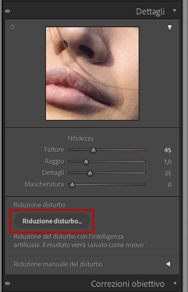 Riduzione-del-rumore-con-l'IA Riduzione del rumore con l'IA in Adobe Lightroom